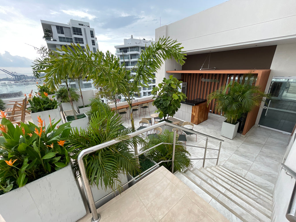 Casú 3 Playa los Cocos PRÓXIMAMENTE